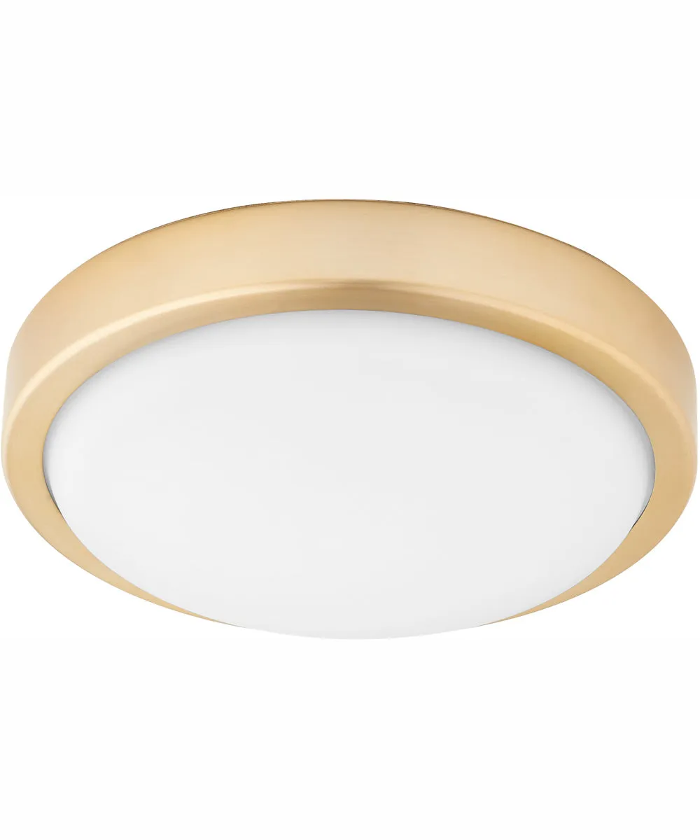 1-light LED Ceiling Fan Light Kit Aged Brass