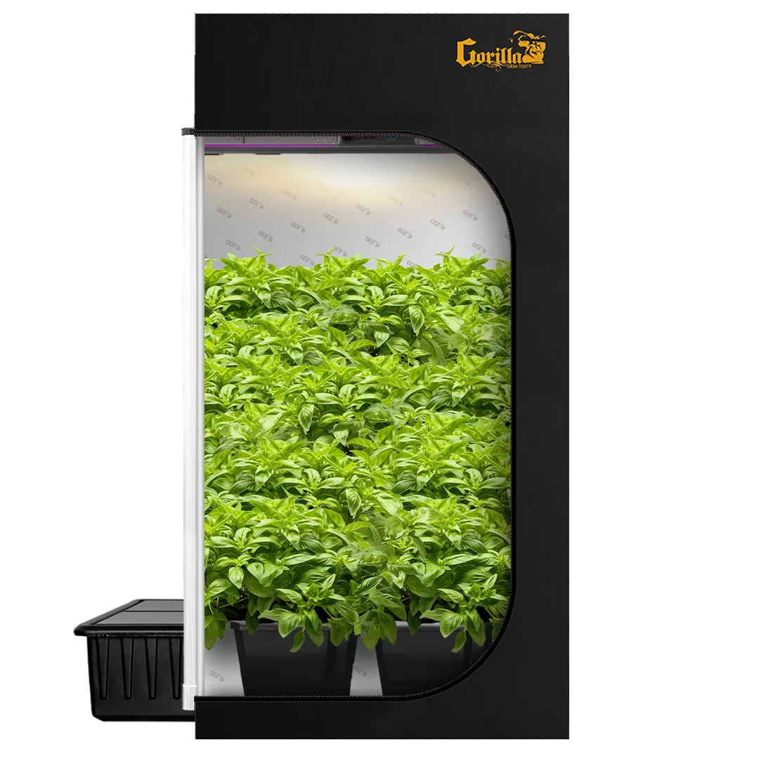 4x4 All New Grow Tent Kit - Bubble Flow Buckets with X2 V2