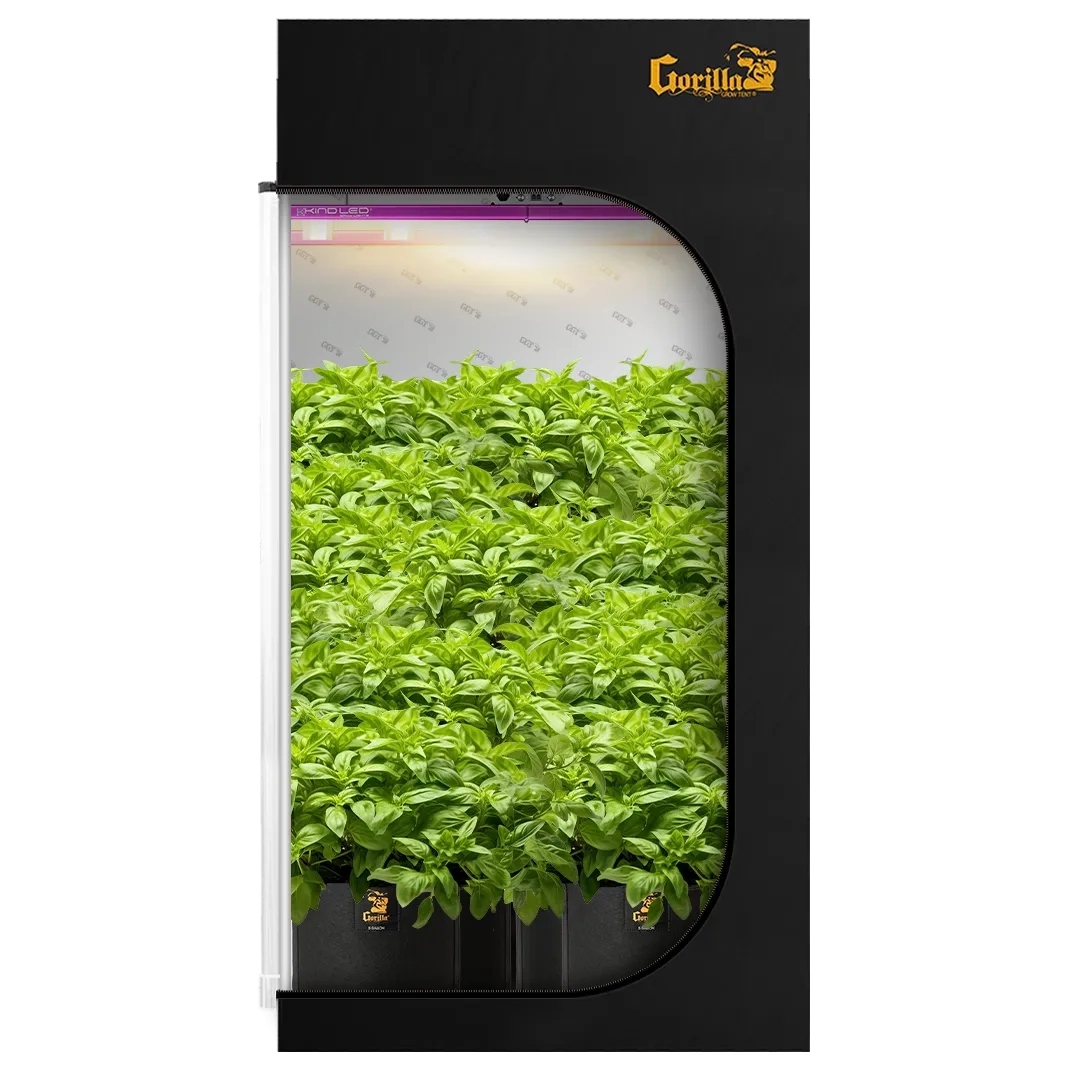 4x4 All New Grow Tent Kit - Soil