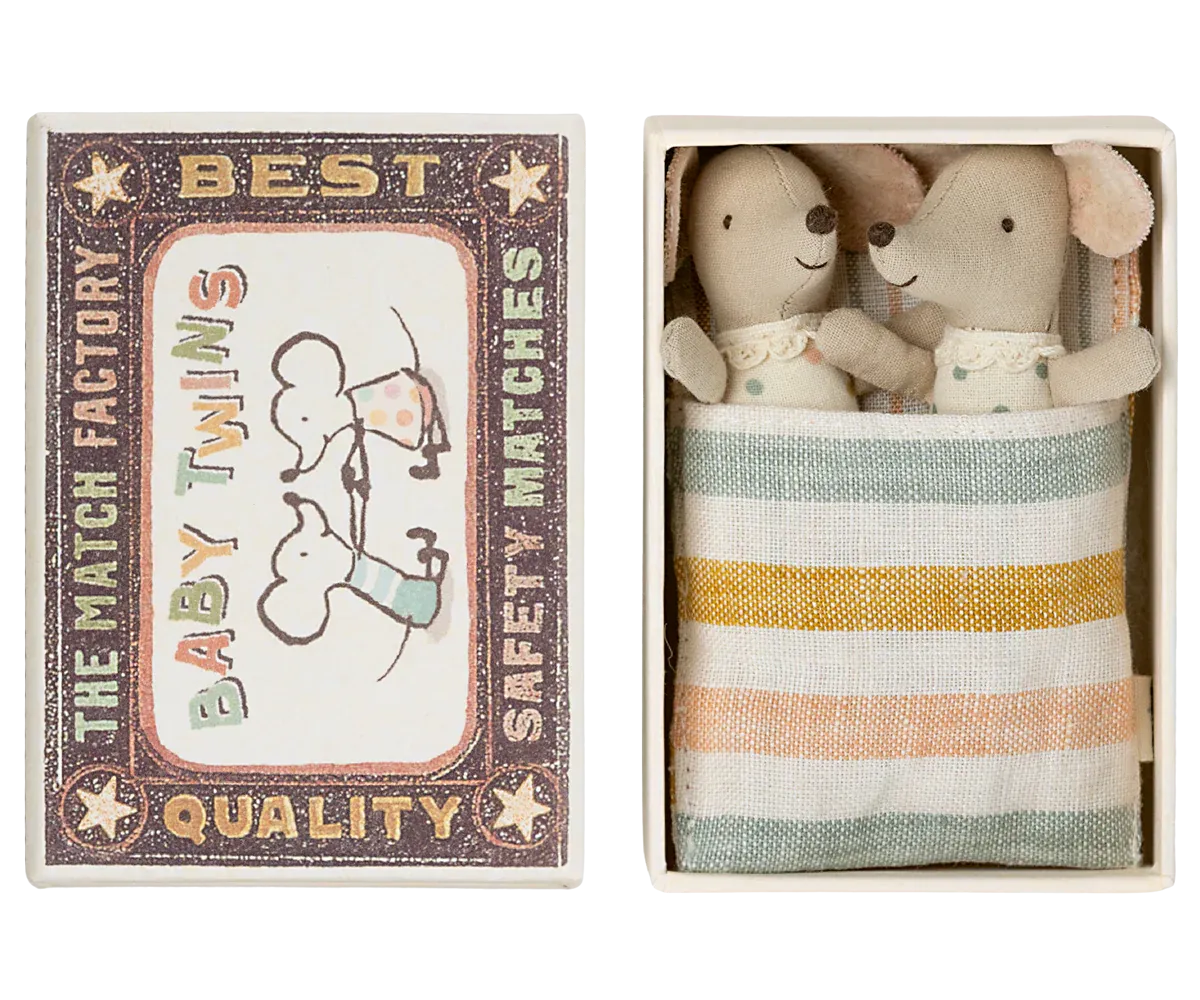 Baby Twins Mice in a Box