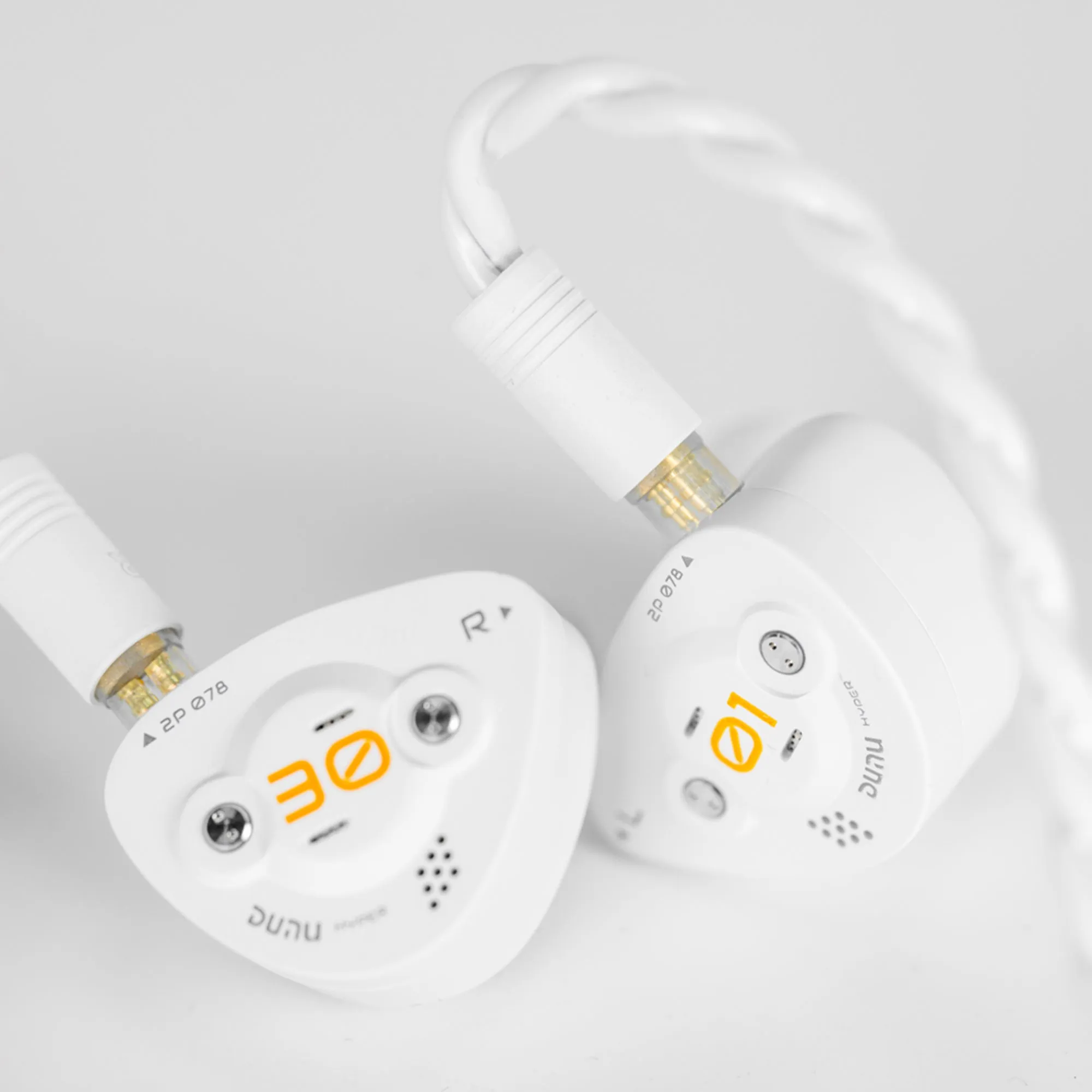 DUNU DK3001BD In-Ear Monitors