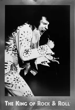 Elvis in Vegas