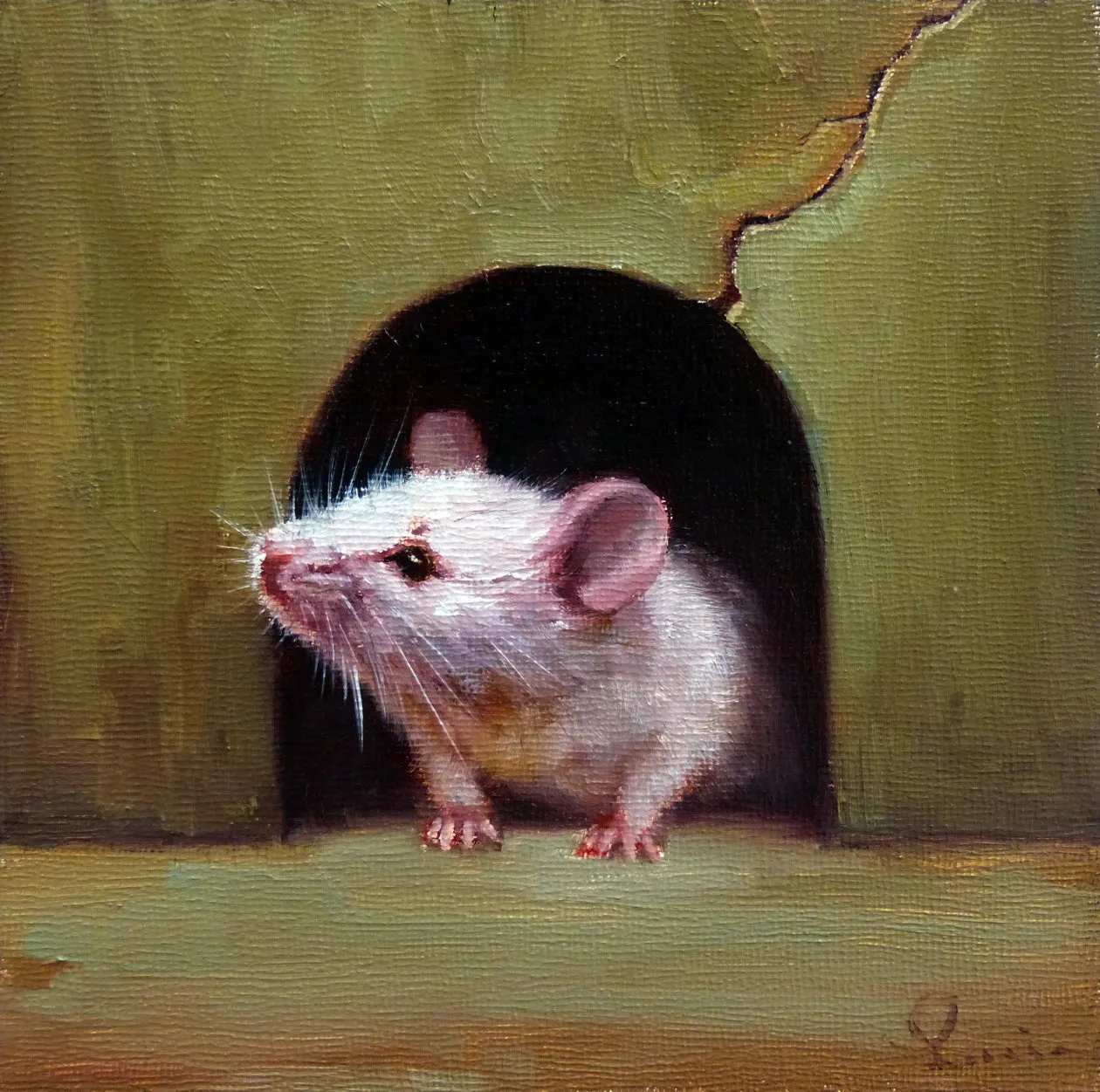 Little Mouse 4