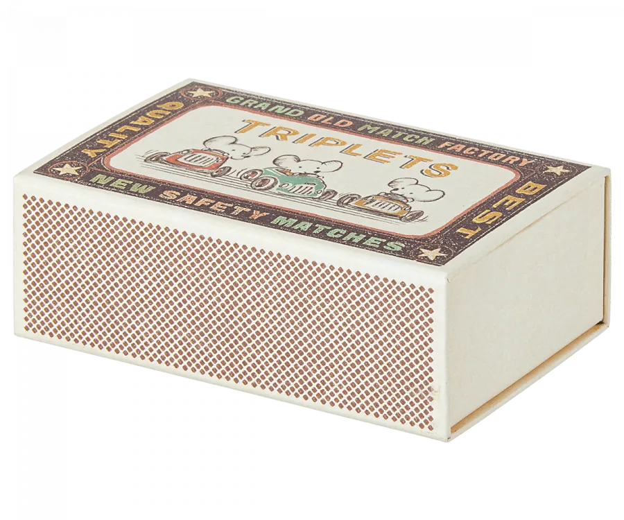 NEW Baby Mice Triplets in Matchbox
