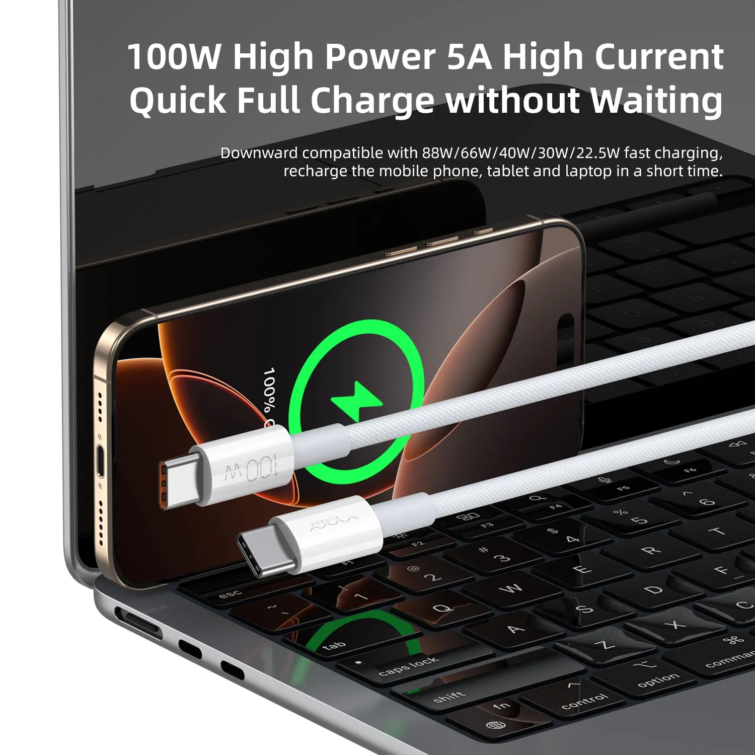 Vyvylabs Prime Series Fast Charging Cable Type-C to Type-C 100W 2M